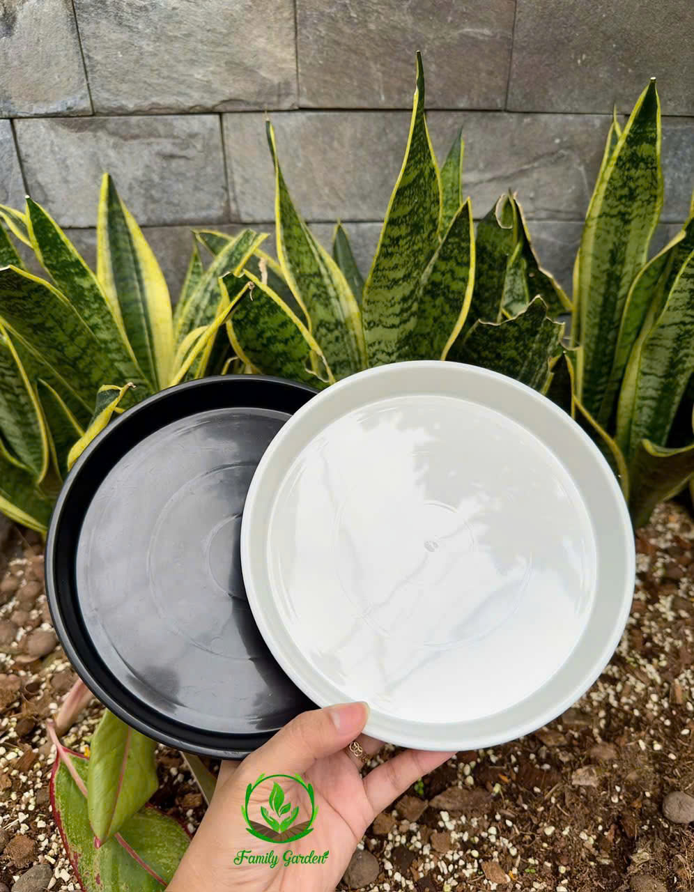 Dĩa nhựa lót chậu