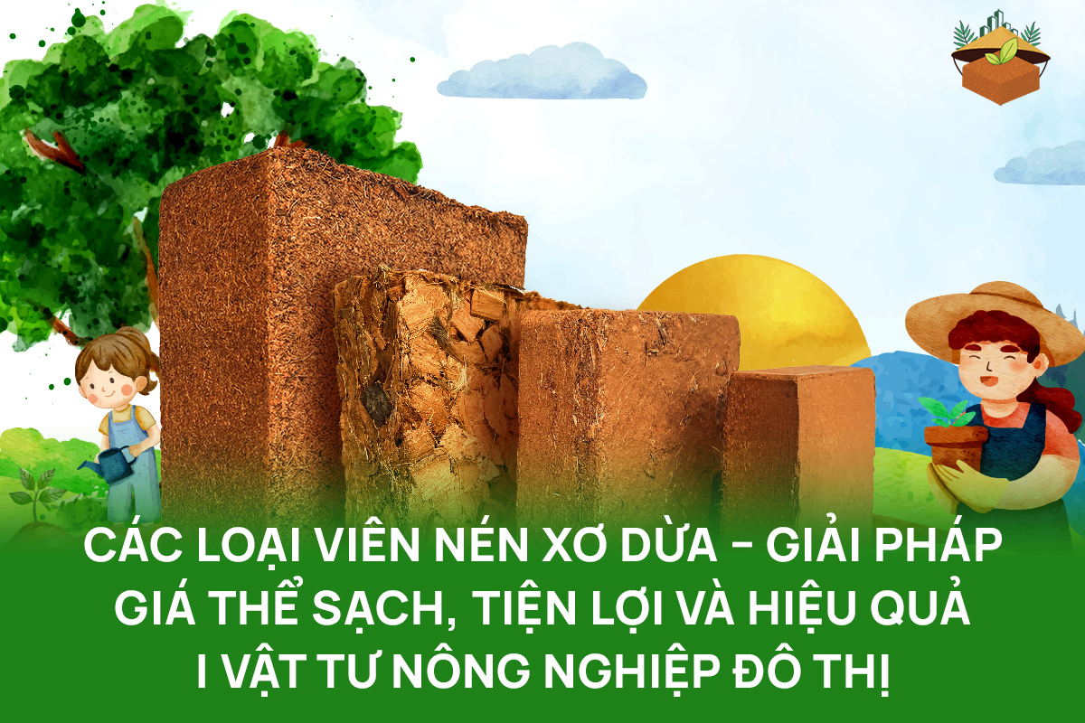 Các loại viên nén xơ dừa – Giải pháp giá thể sạch, tiện lợi và hiệu quả | Vật Tư Nông Nghiệp Đô Thị
