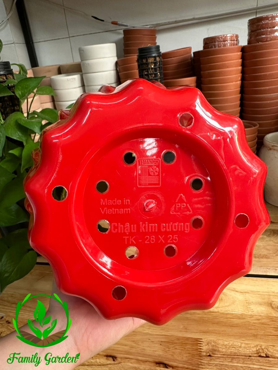 Ảnh chụp đáy chậu nhựa kim cương Thakico - Trắng - Size 25x22cm | Độc quyền Family Garden
