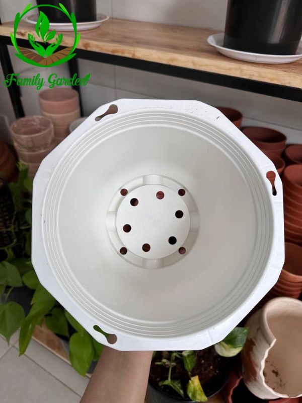 Ảnh chụp lòng chậu nhựa treo bát giác Thakico - Trắng - Size thông dụng 18x13cm 