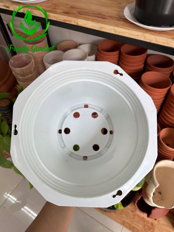 Ảnh chụp lòng chậu nhựa treo bát giác Thakico - Trắng - Size thông dụng 23x15cm 