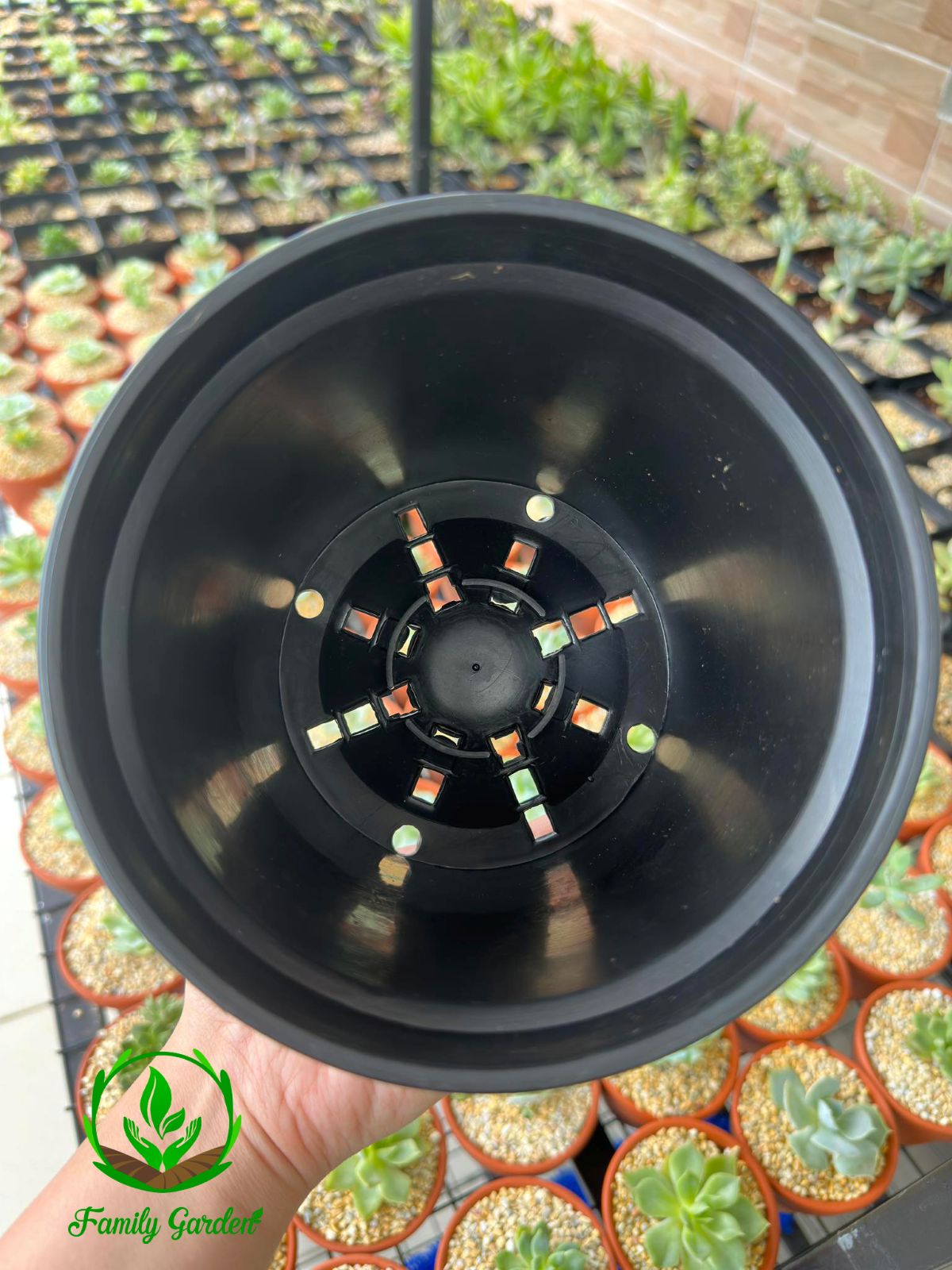 Ảnh đáy chậu nhựa tròn đen THAKICO size 15x14cm tại Family Garden