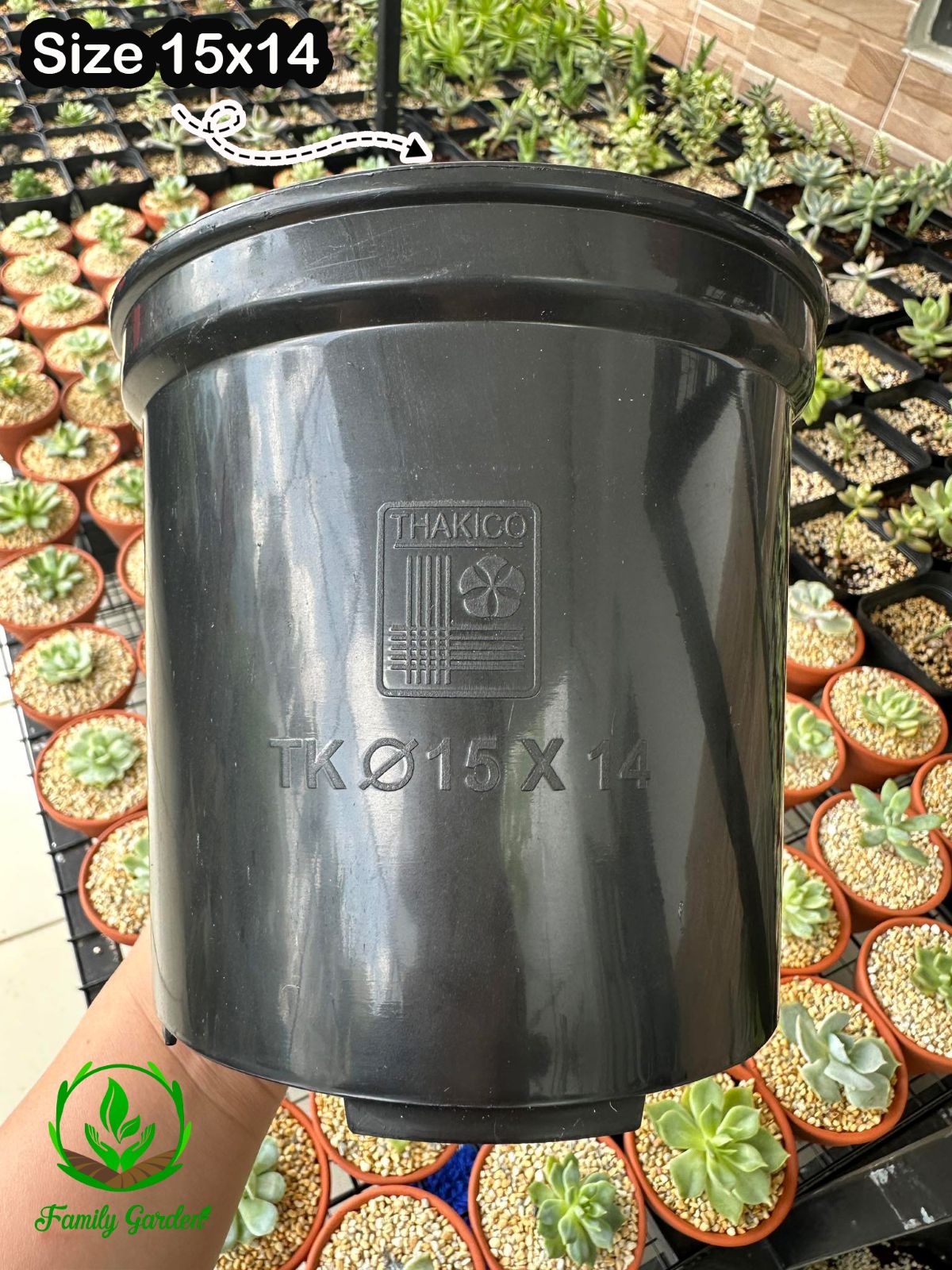 Ảnh chụp thực tế chậu tròn đen size 15x14cm thương hiệu THAKICO