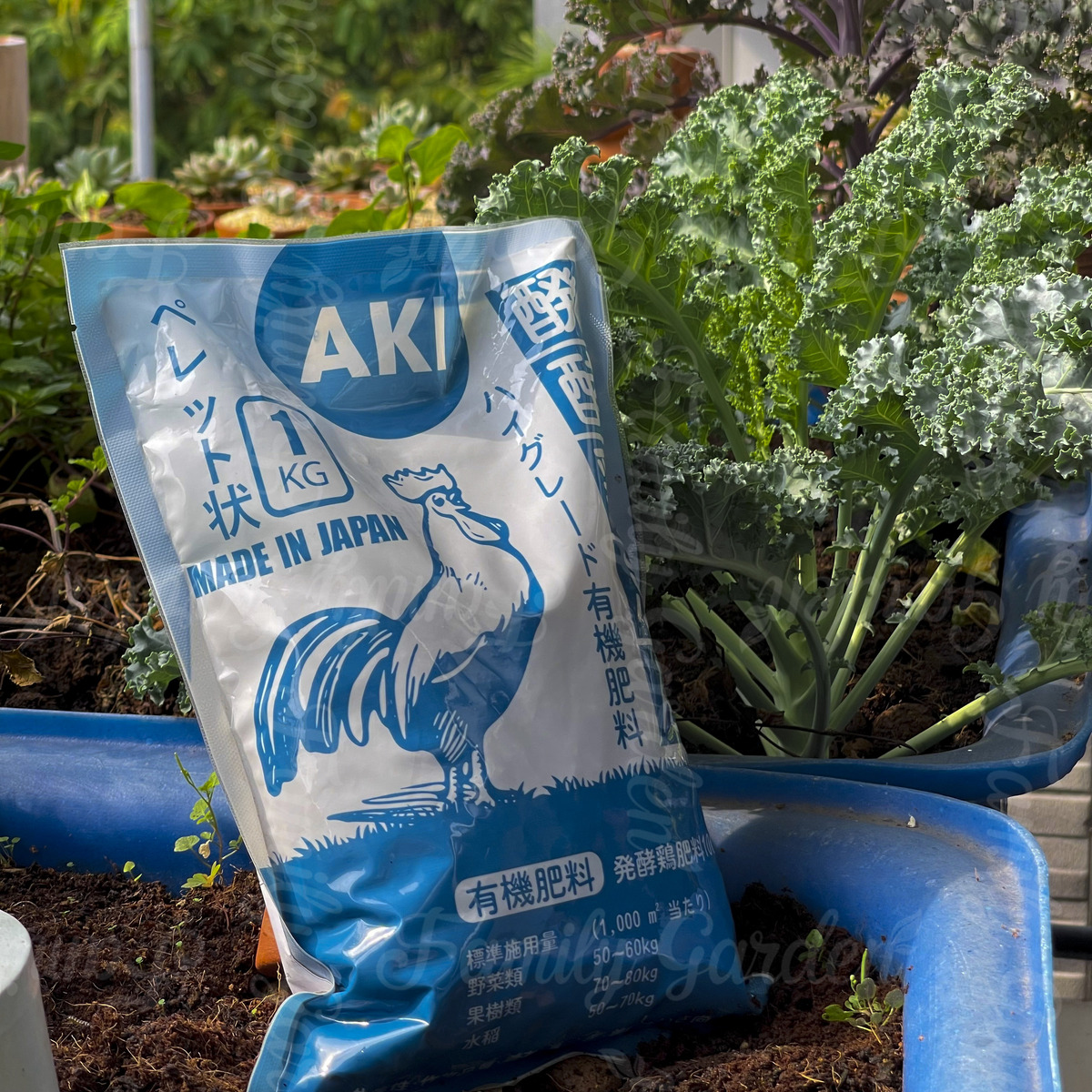 Phân gà tươi được cho vào máy và tưới các chủng vi sinh đặc hiệu