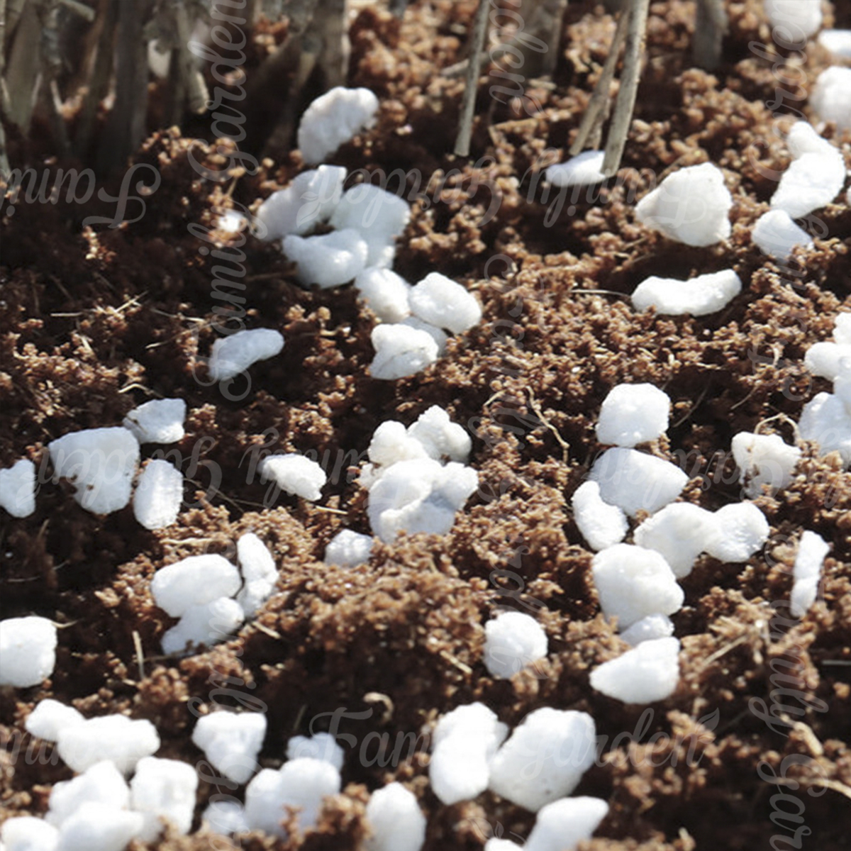 Đá perlite, đá chân trâu độc quyền tại nhà Family Garden