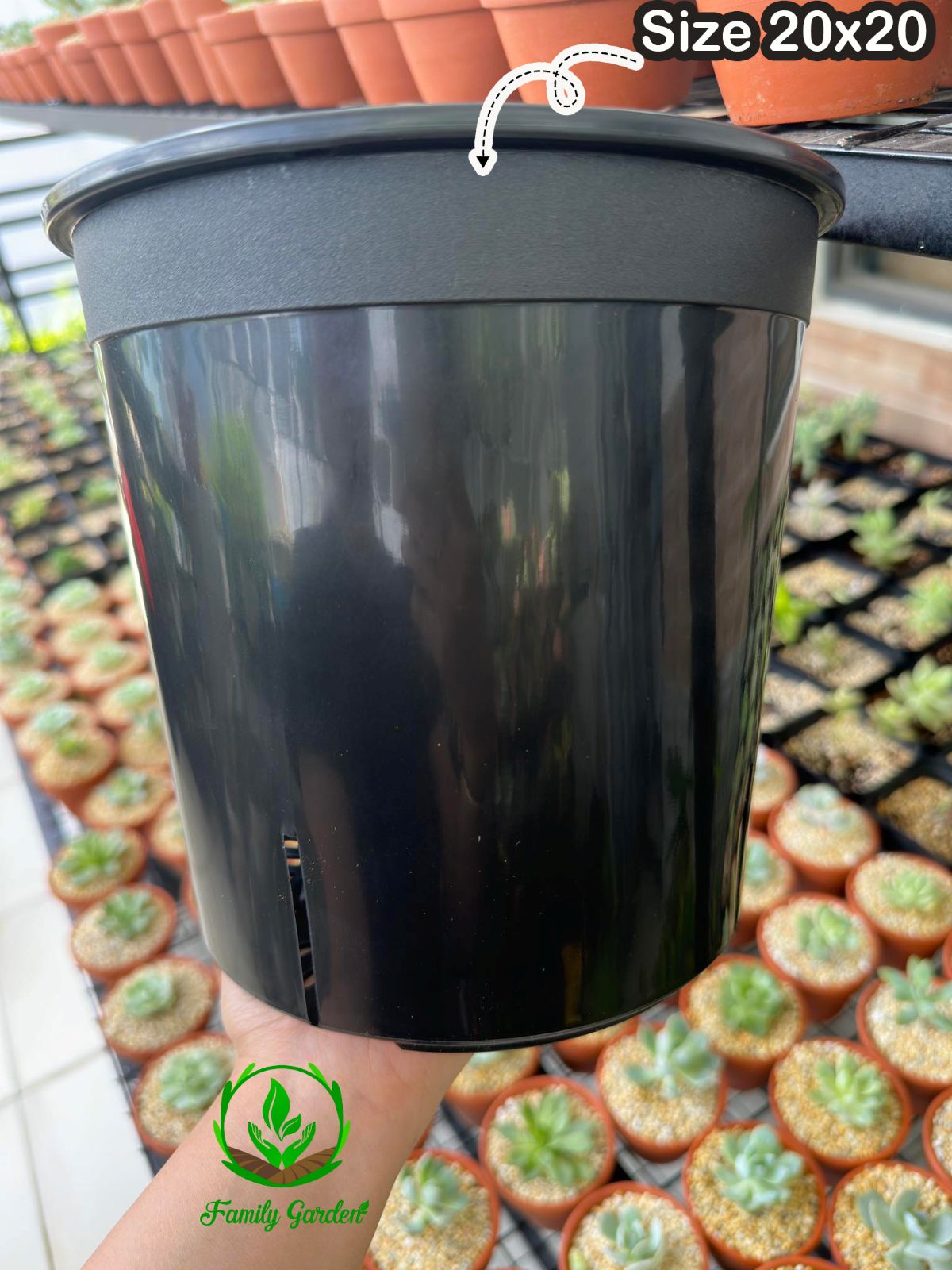 Ảnh thực tế chụp tại Family Garden - Chậu nhựa PP đen, tròn thương hiệu THAKICO size 20x20cm