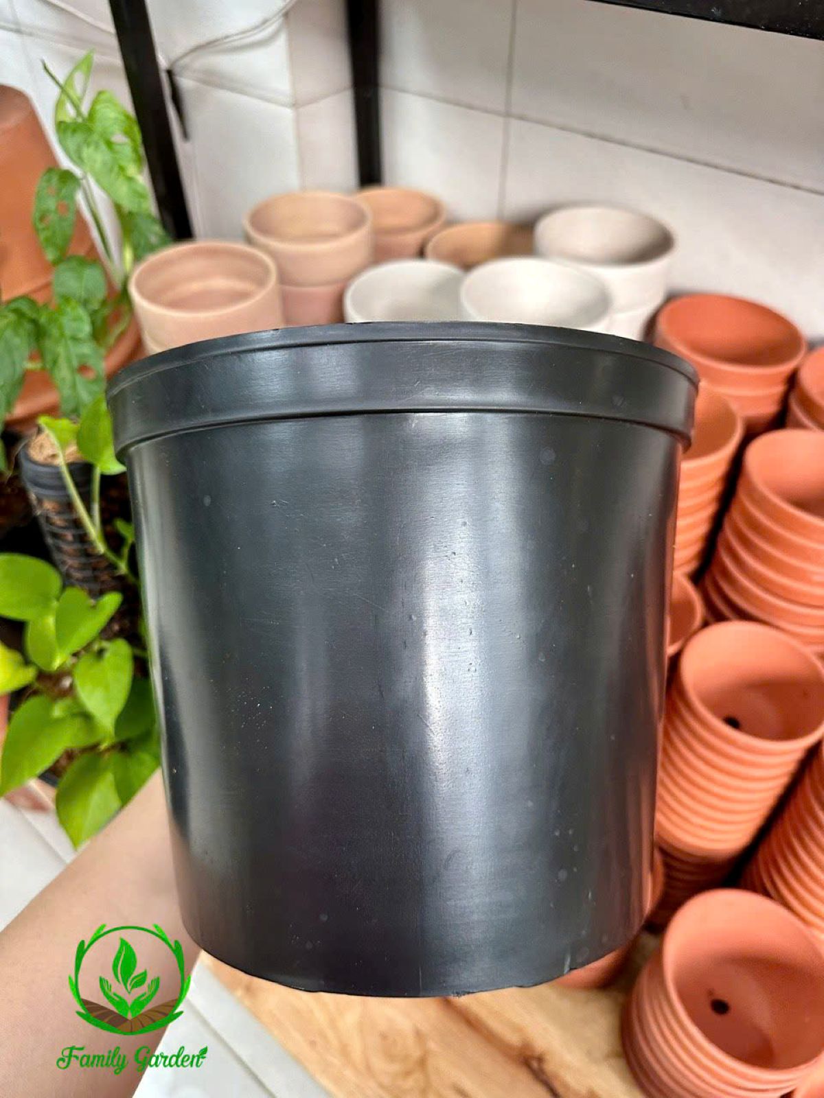 Ảnh thực tế chụp tại Family Garden - Chậu nhựa PP đen, tròn thương hiệu THAKICO size 24x22cm