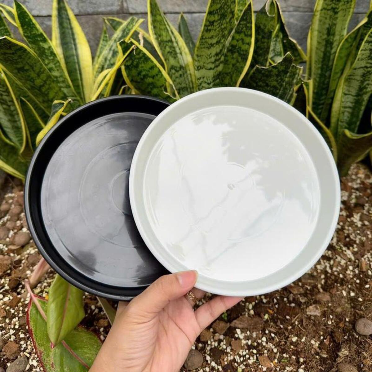 Dĩa nhựa đen lót chậu có trọng lượng nhẹ, dễ di chuyển và phù hợp với trưng bày ở nhiều vị trí