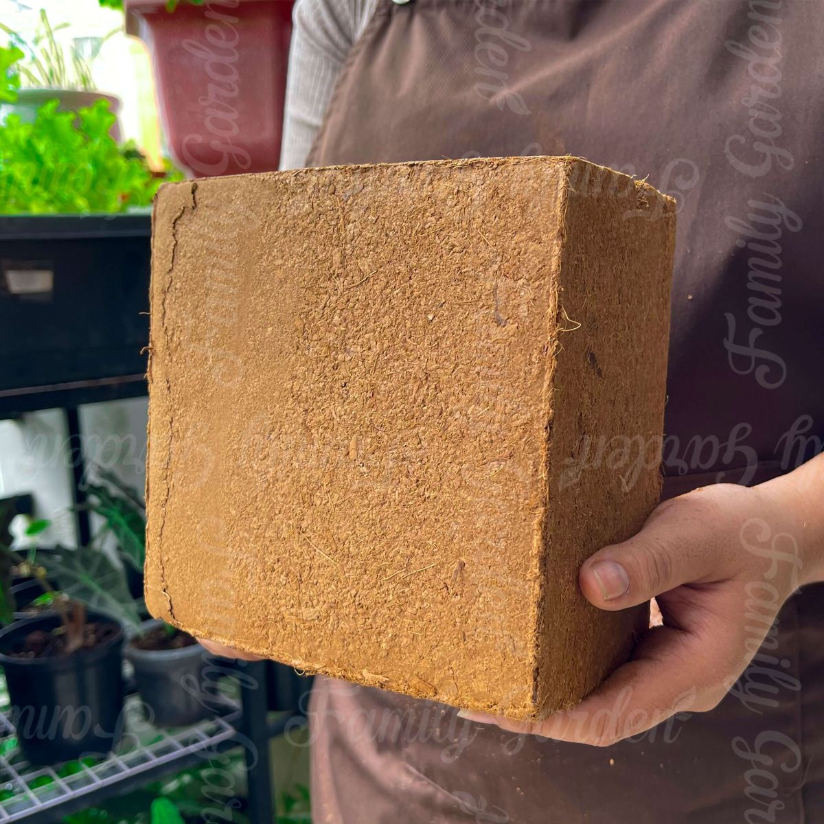 Ảnh thực tế bánh xơ mụn dừa ép viên 1Kg Family Garden 