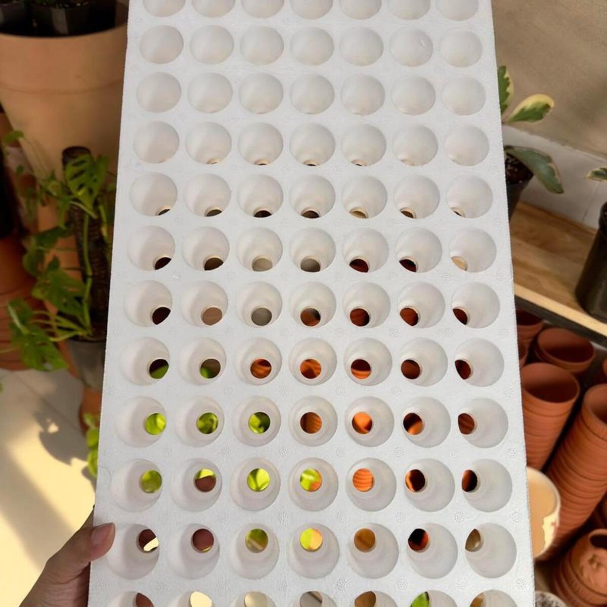 Khay xốp ươm hạt có độ bền cao và tái sử dụng nhiều lần