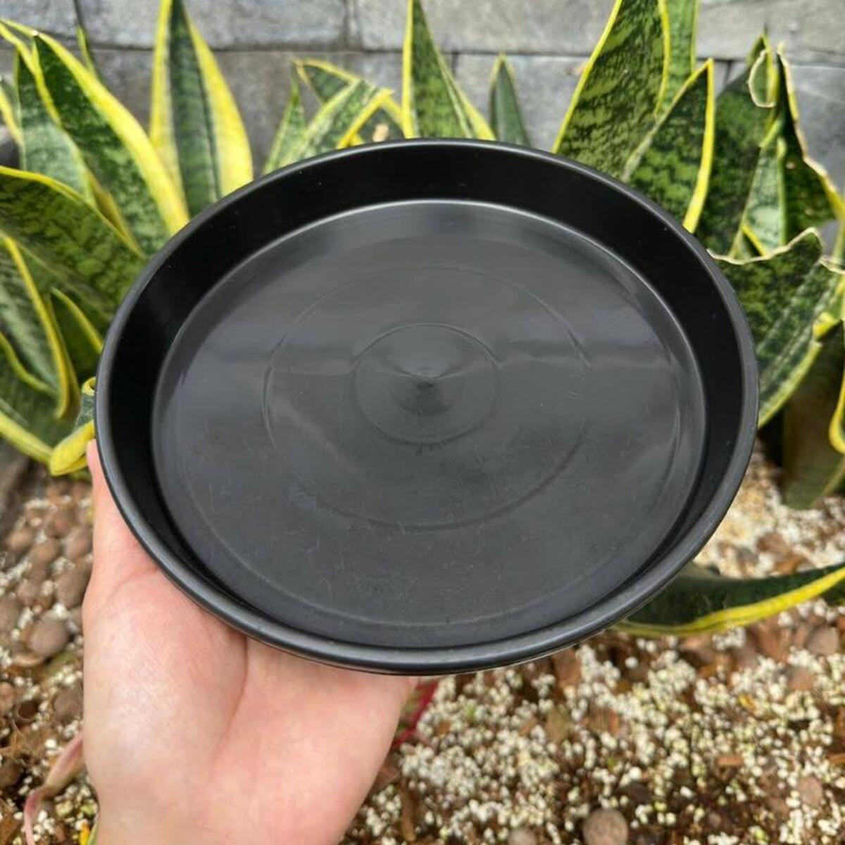 Combo 5 dĩa nhựa đen lót chậu được làm từ nhựa PP nguyên sinh cao cấp