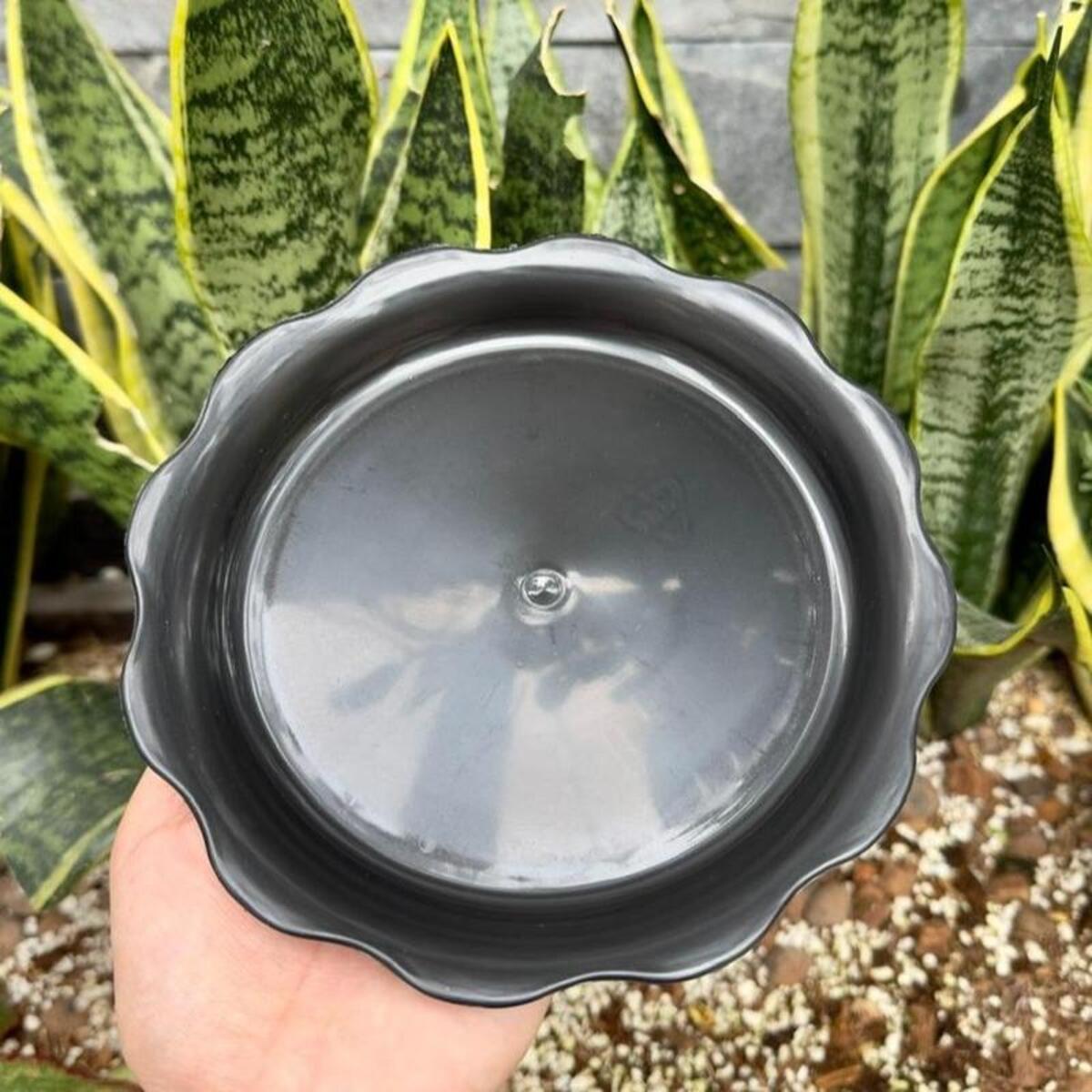 Dĩa nhựa bèo có kích thước size 16/12cm 