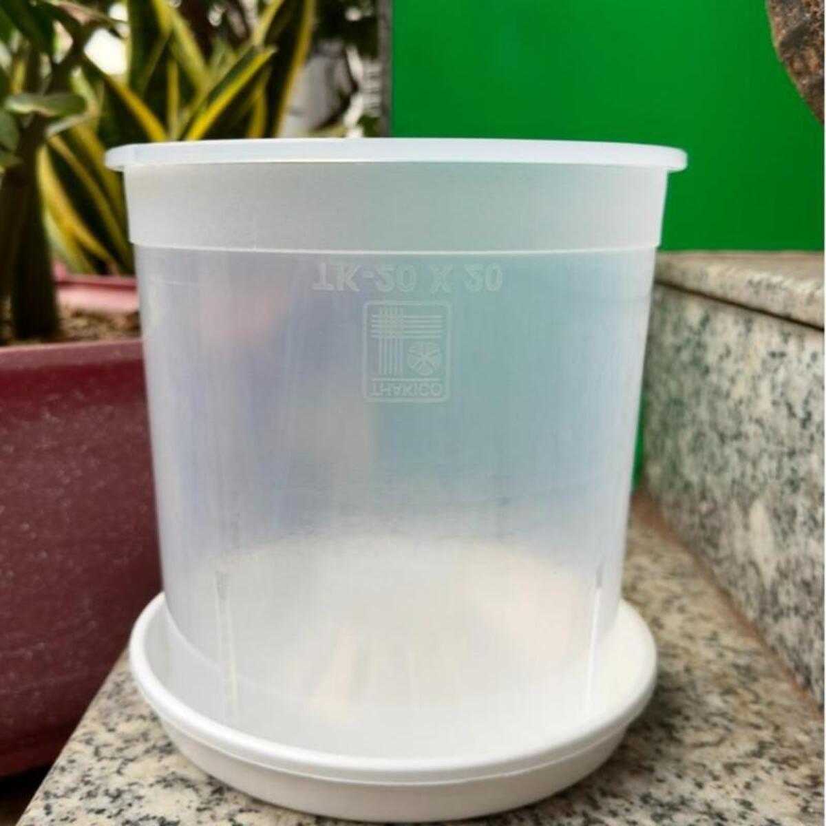 Dĩa nhưa trắng lót chậu giữ nước từ chậu thoát nước