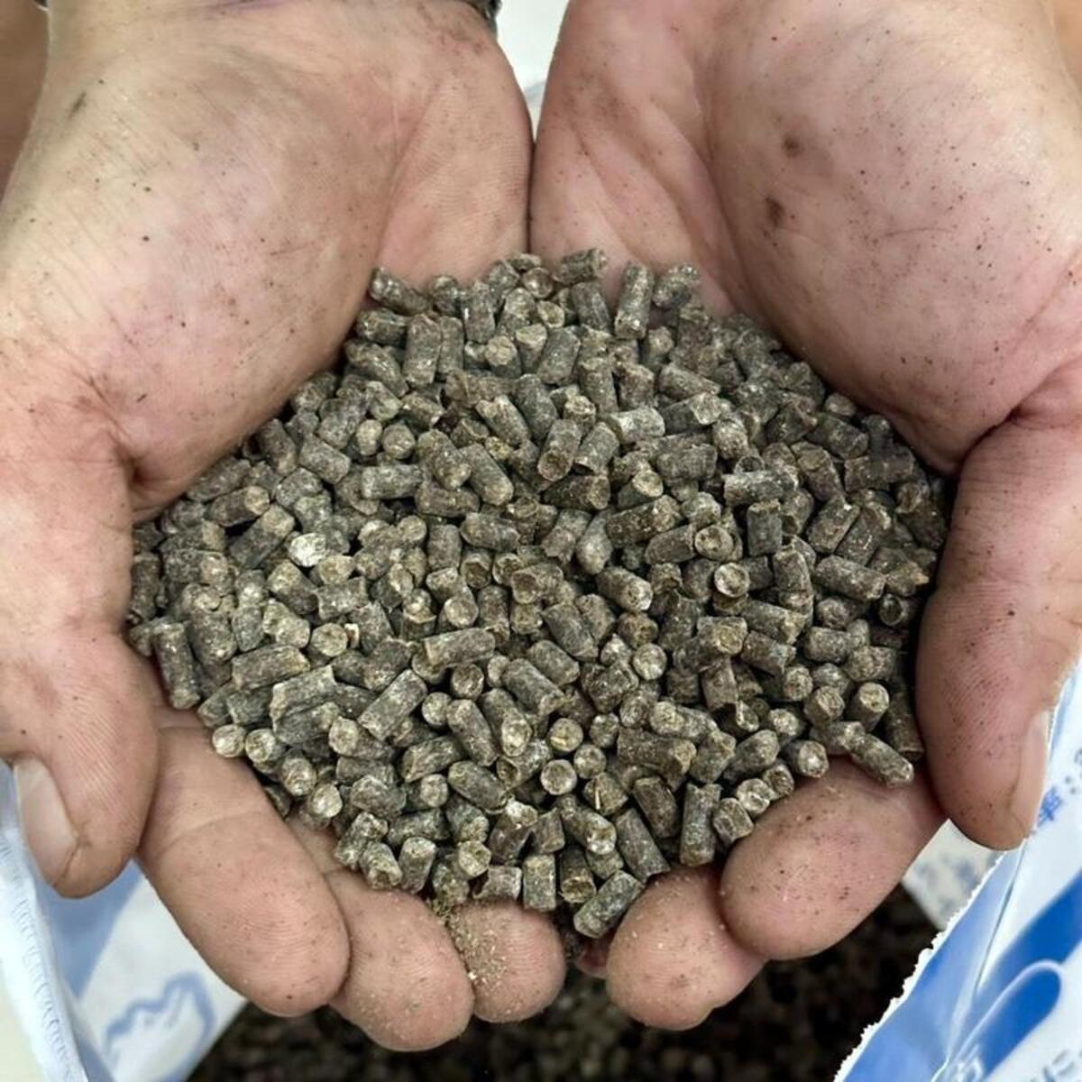 Phân gà hữu cơ Nhật Aki sử dụng công nghệ lên men