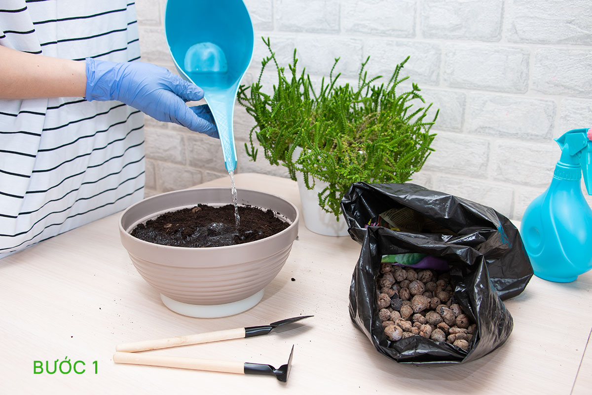 Bước 1 rửa nước sạch xả mặn