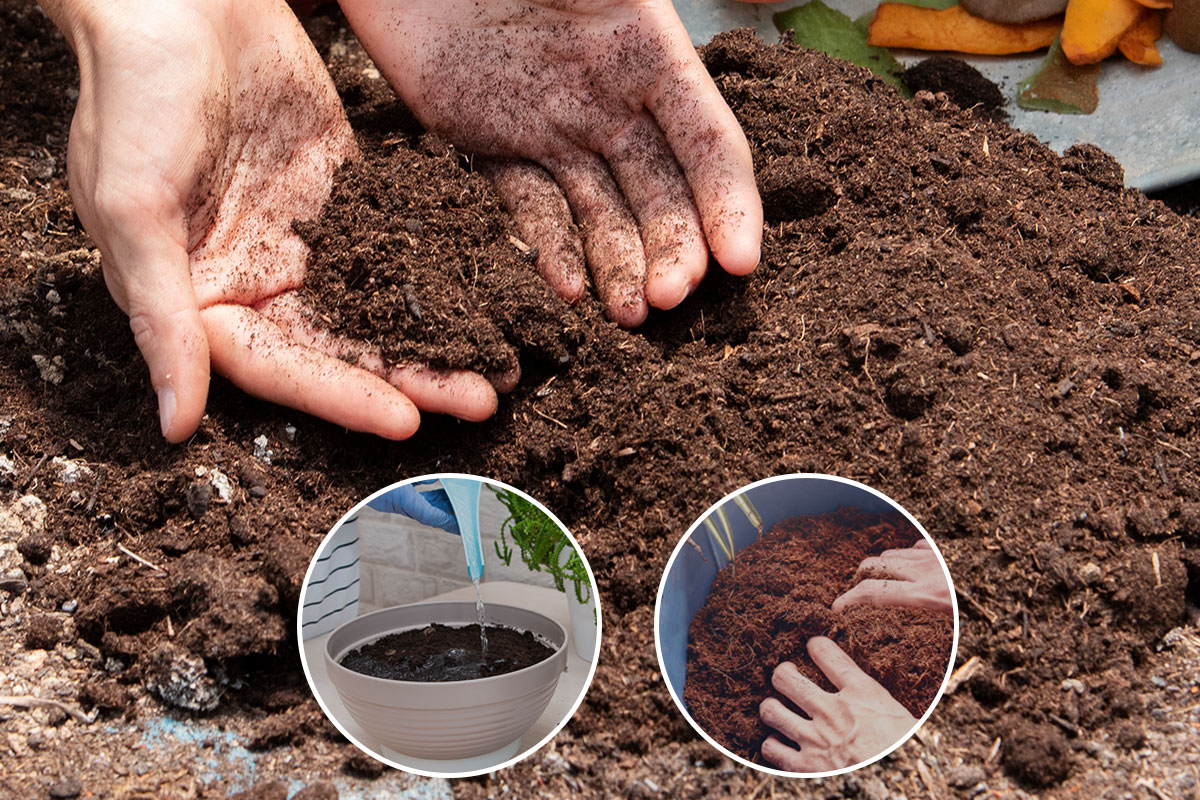 Các bước xử lý sơ mụn dừa đơn giản tại nhà 