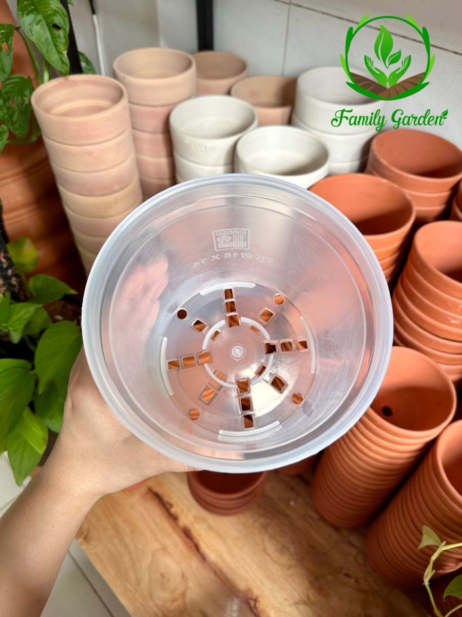 Ảnh chụp lòng chậu nhựa trong suốt Thakico - Tròn - Size thông dụng 12x11cm  | Độc quyền Family Garden