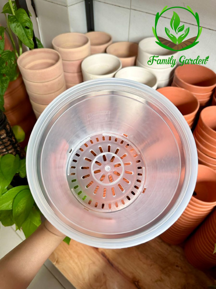 Ảnh chụp lòng chậu nhựa trong suốt Thakico - Tròn - Size thông dụng 18x16cm  | Độc quyền Family Garden