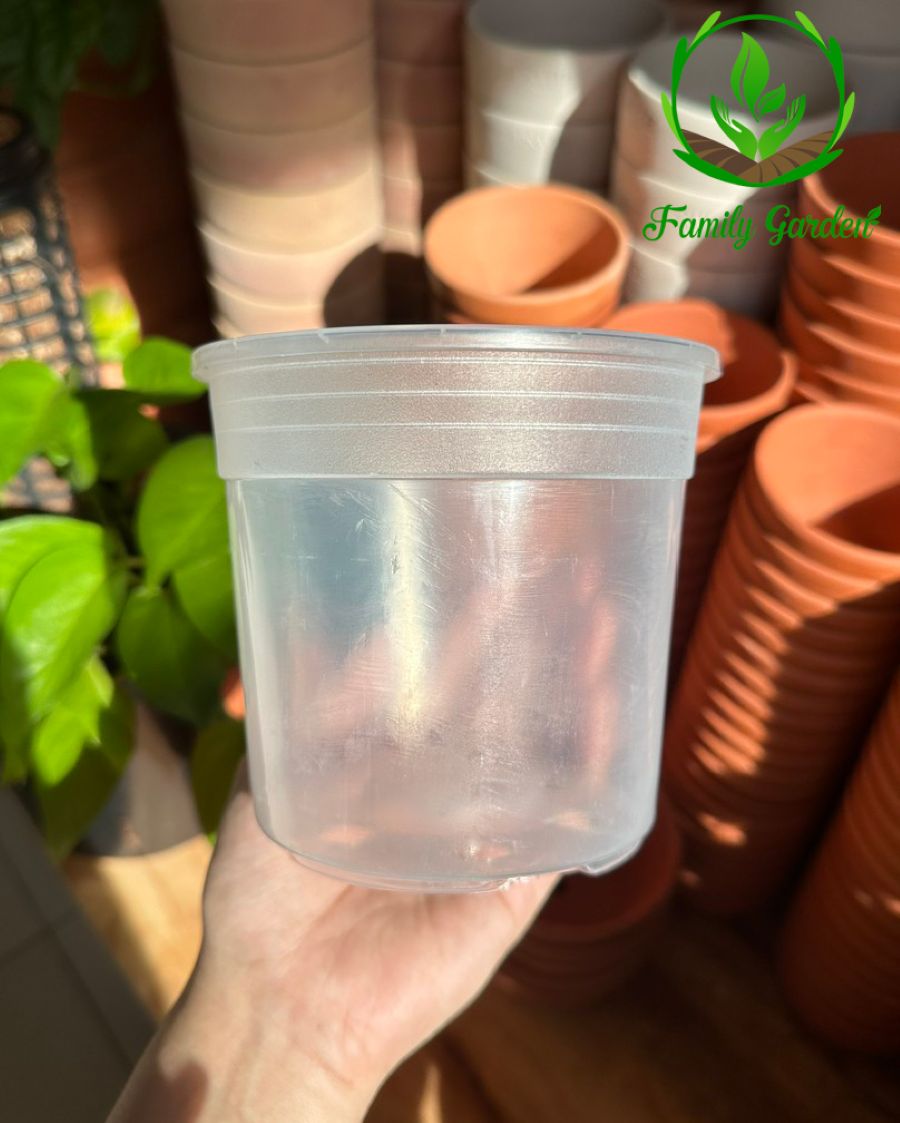 Ảnh chụp lòng chậu nhựa trong suốt Thakico - Tròn - Size thông dụng 12x11cm  | Độc quyền Family Garden