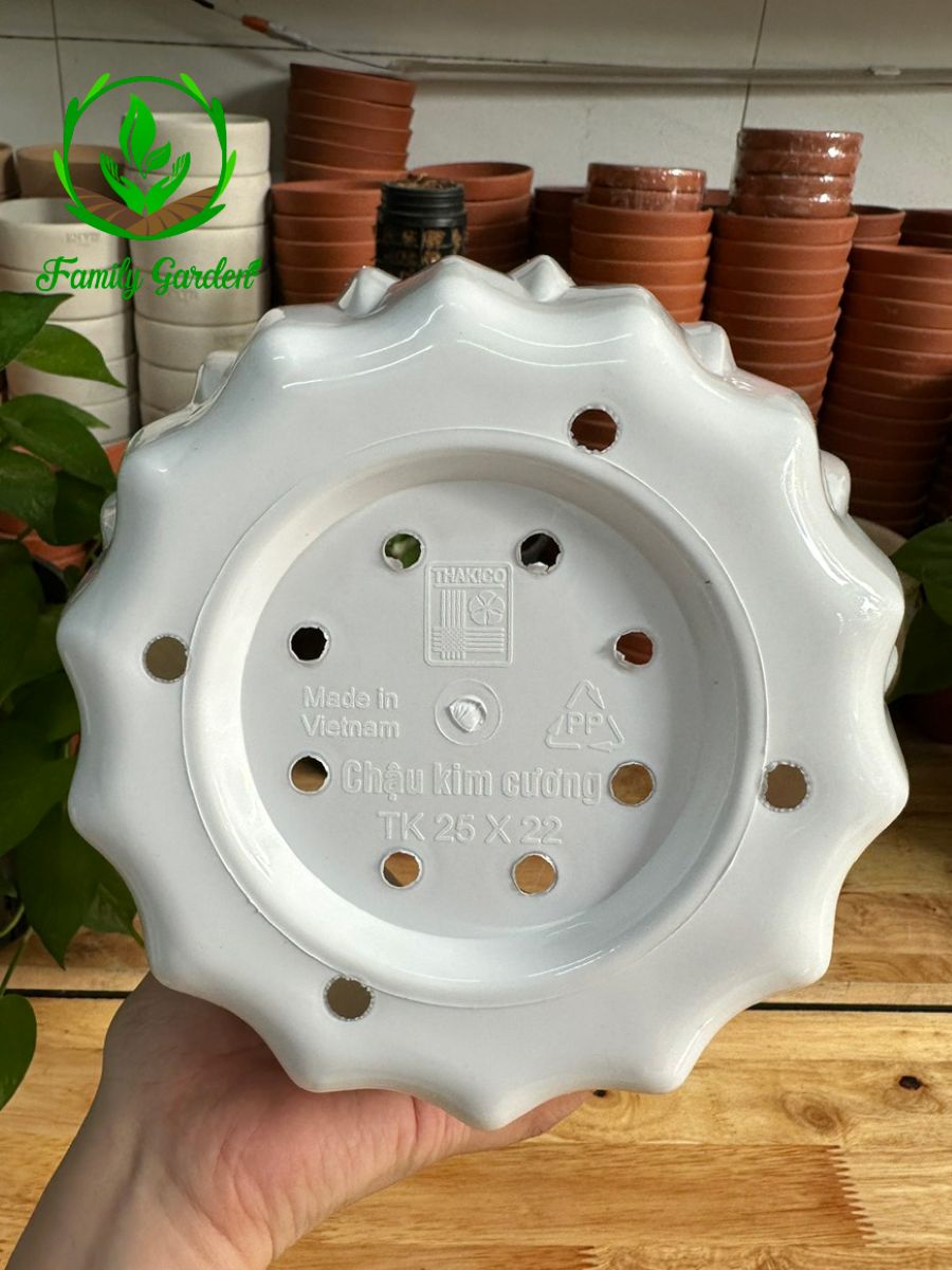Ảnh chụp đáy chậu nhựa kim cương Thakico - Trắng - Size 25x22cm | Độc quyền Family Garden