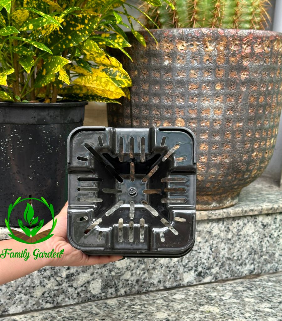 Ảnh thực tế chụp đáy chậu nhựa đen Thakico - Vuông - Size trung thông dụng 18x23cm | Độc quyền Family Garden