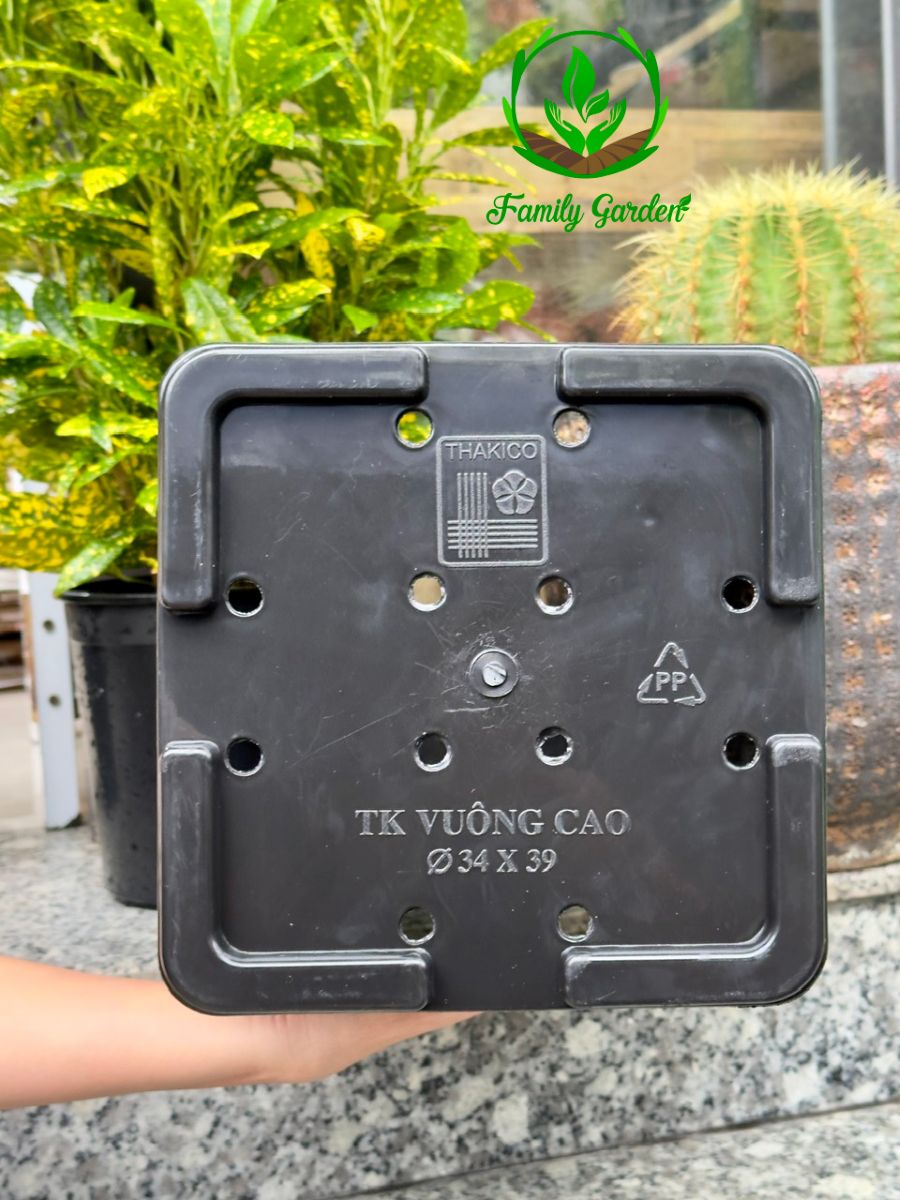 Ảnh thực tế chụp đáy chậu nhựa đen Thakico - Vuông - Size lớn thông dụng 34x39cm | Độc quyền Family Garden