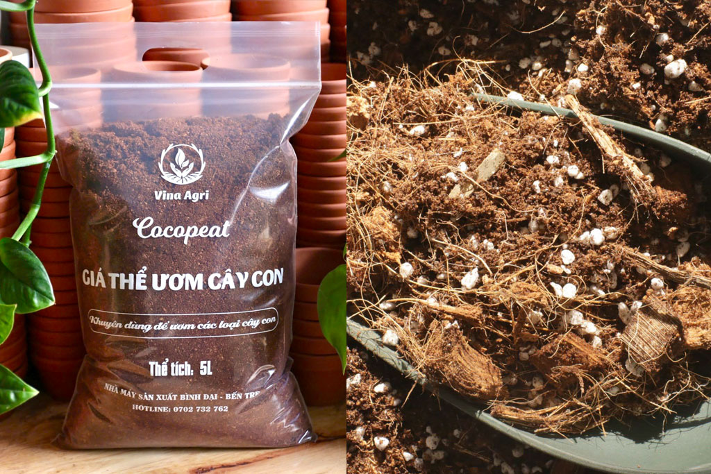 Nên tựi phối hay sử dụng giá thể xơ dừa đóng bao sẵn