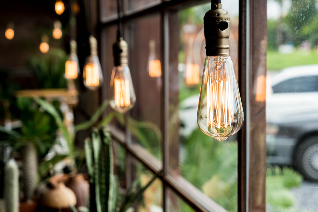 Sưởi ấm cây bằng bóng đèn 