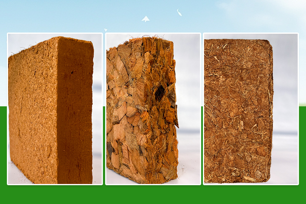 Hình thực tế 3 loại viên nén xơ mụn dừa của Vật Tư Nông Nghiệp Đô Thị