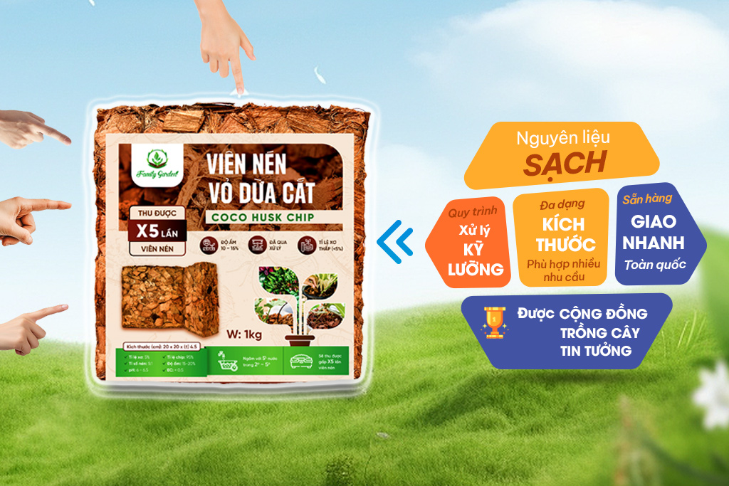 Lý do nên chọn viên xơ dừa 