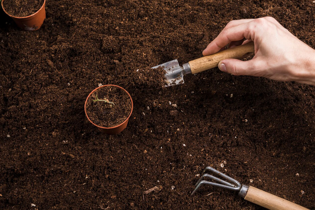 Xử lý giá thể xơ dừa đúng cách trước khi sử dụng