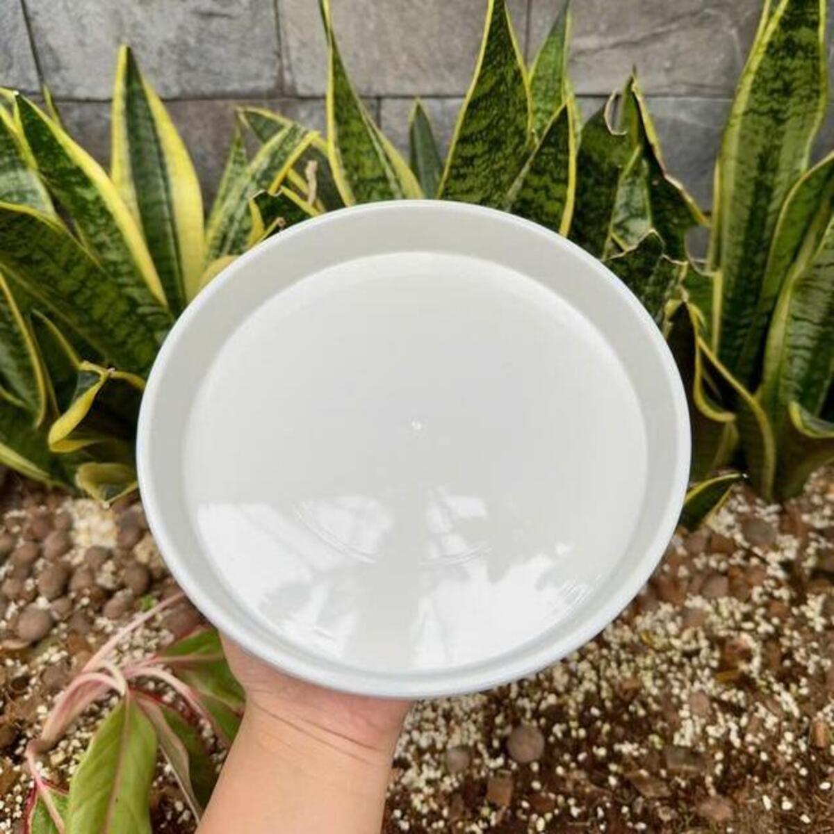 Dĩa nhựa trắng lót chậu Thakico đa dạng kích thước