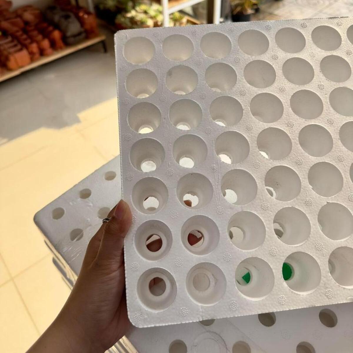 Khay xốp ươm hạt bền, nhẹ và cách nhiệt tốt