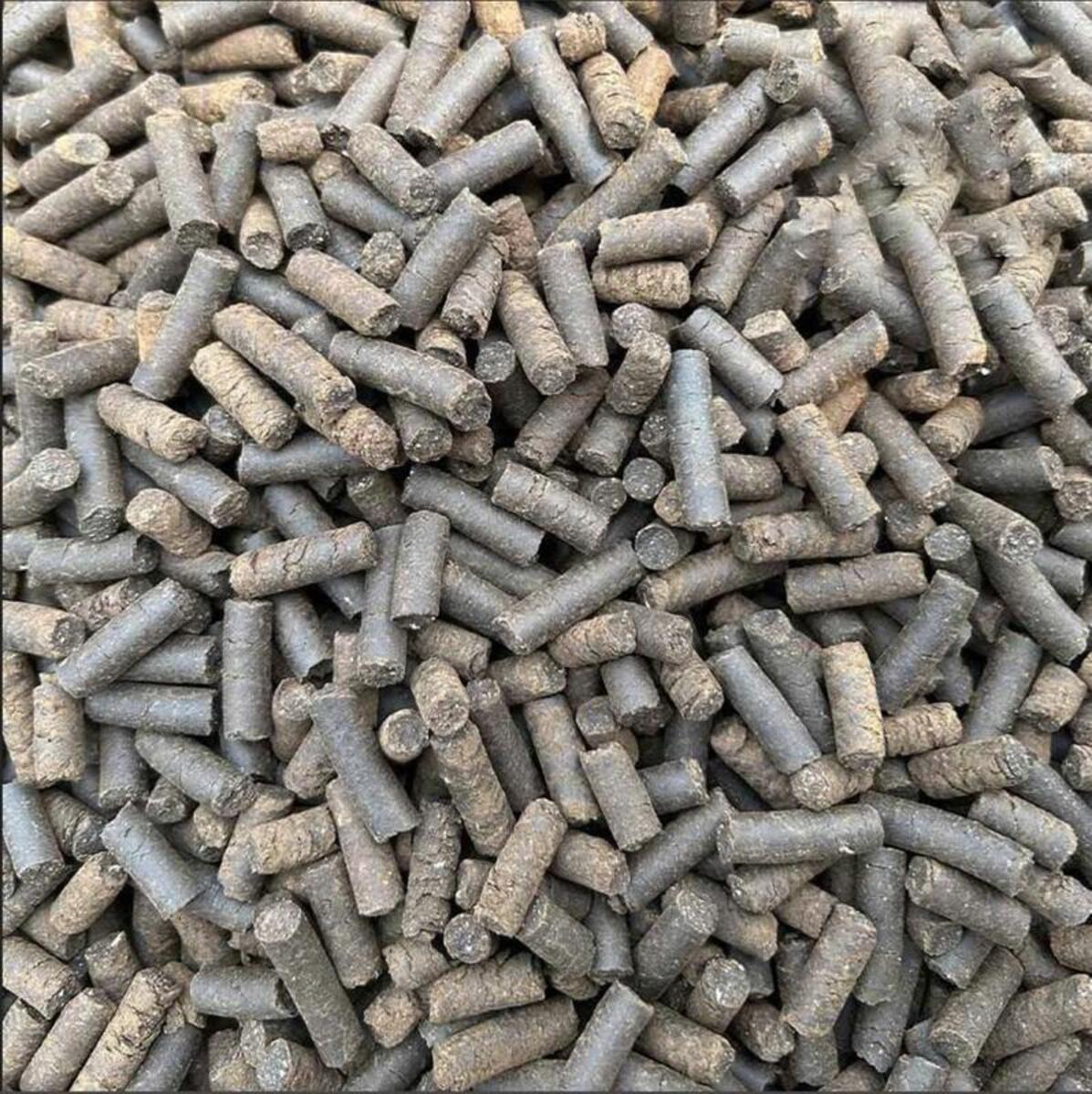 Phân trùn quế giàu chất hữu cơ