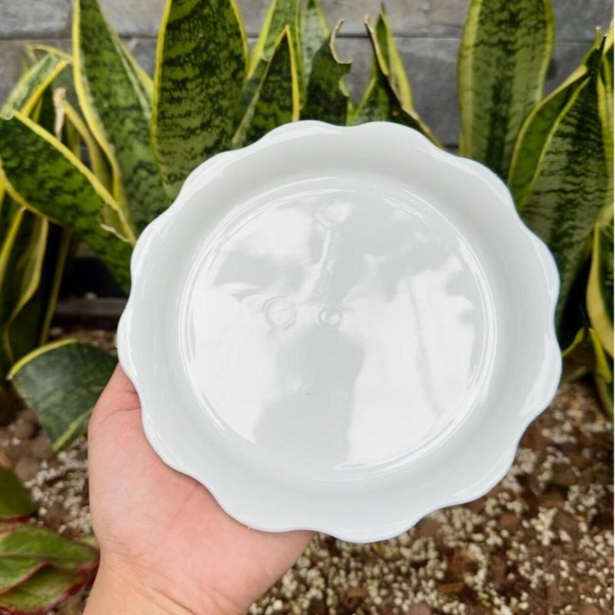 Dĩa nhựa bèo có đường kính 16cm và lòng dĩa 12cm