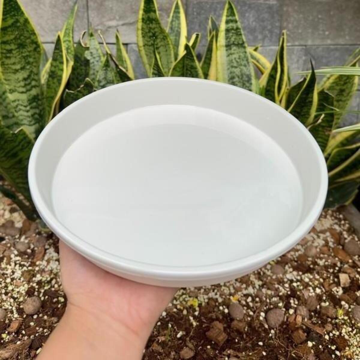 Dĩa nhựa trắng lót chậu Thakico là nhựa PP nguyên sinh cao cấp