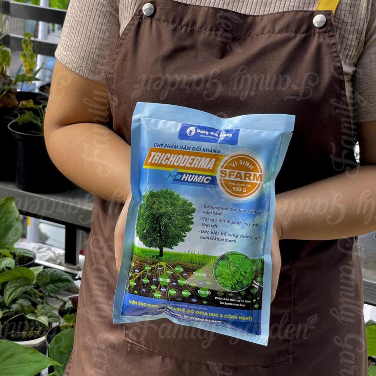 Chế phẩm Trichoderma ức chế nấm bệnh gây hại, tăng sức đề kháng cho cây