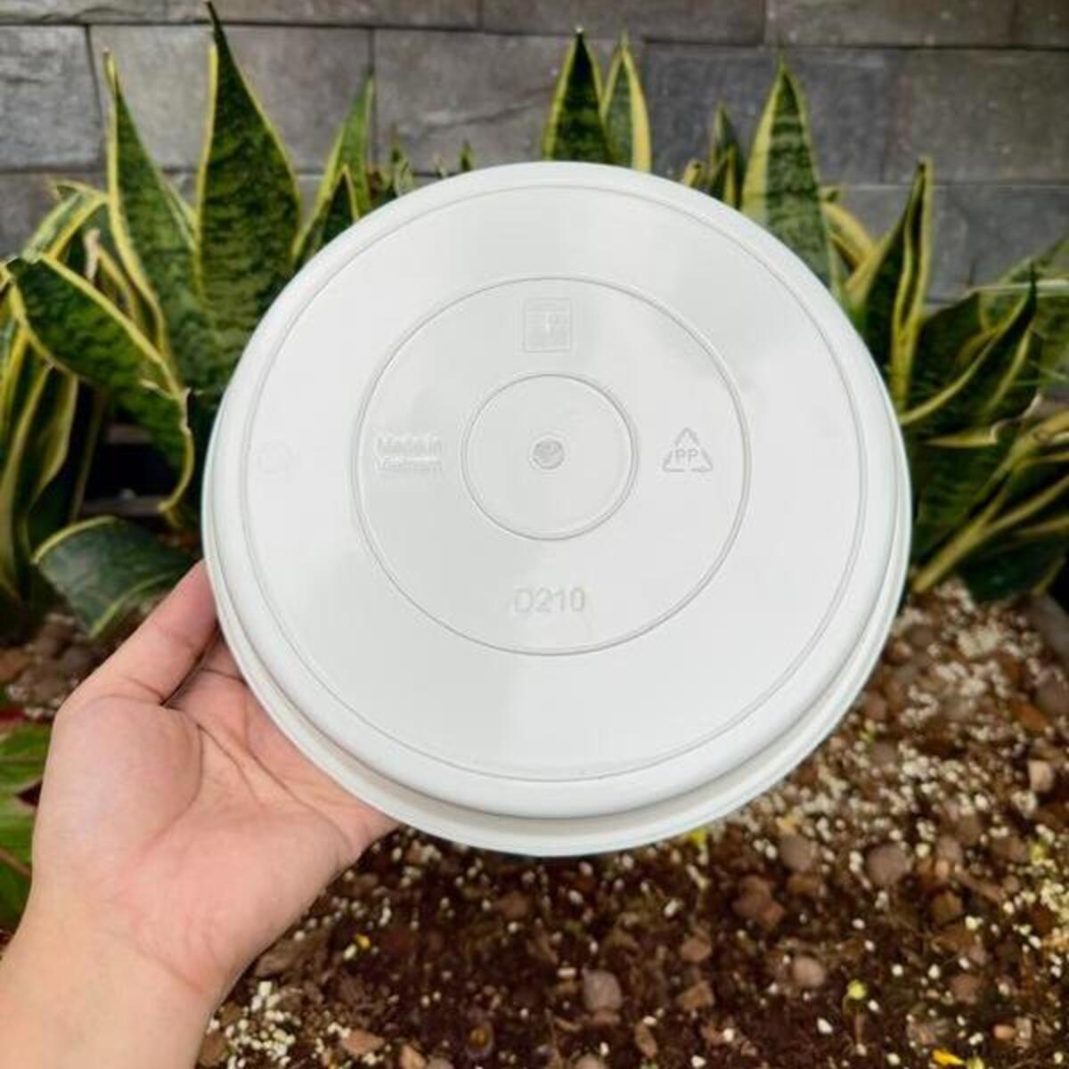 Dĩa nhựa trắng lót chậu nhựa PP không độc hại, không làm biến tính nước/dung dịch thủy canh