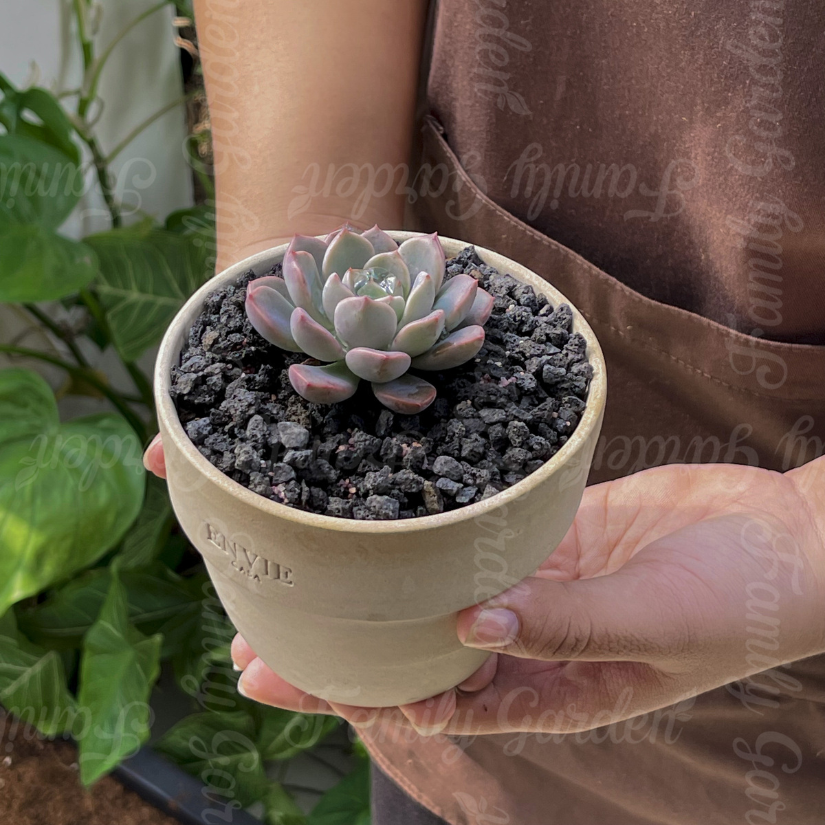 Bao 20kg đá nham thạch lava size 3-6mm