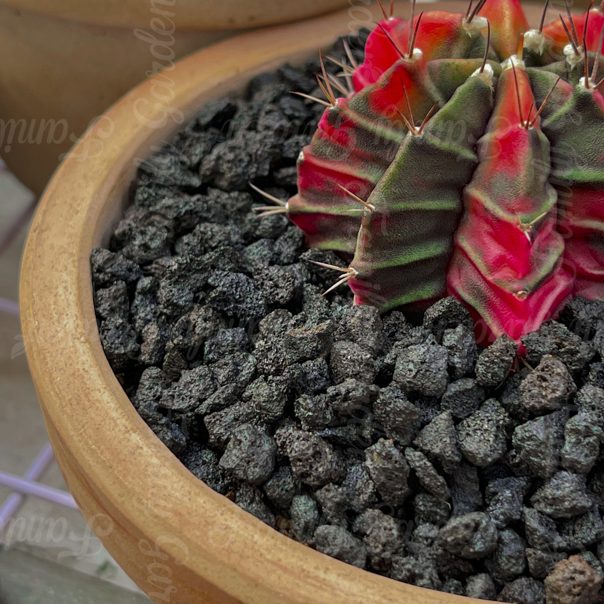 Túi 1kg đá nham thạch lava đen/đỏ tăng độ tơi xốp