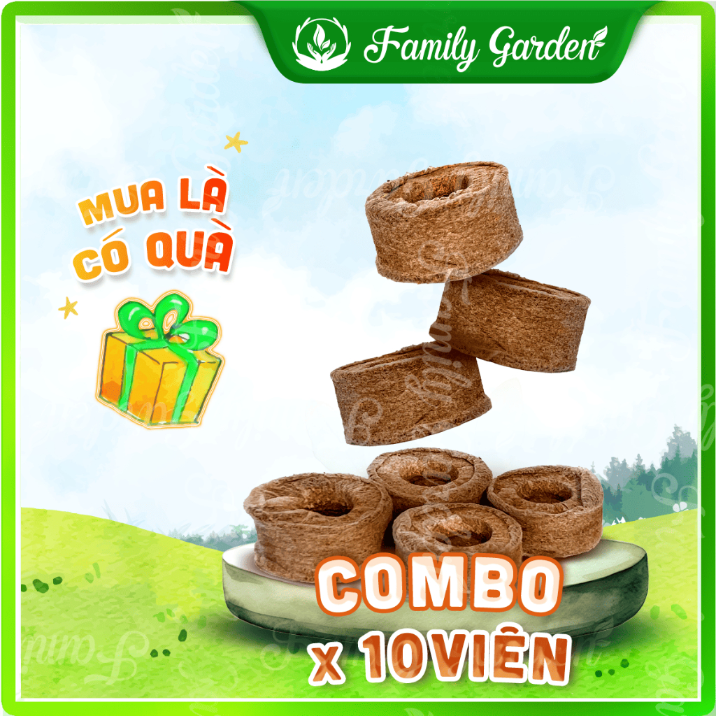 Viên nén ươm hạt xơ dừa - Bầu ươm cây giống kích hạt nảy mầm I Độc quyền Family Garden
