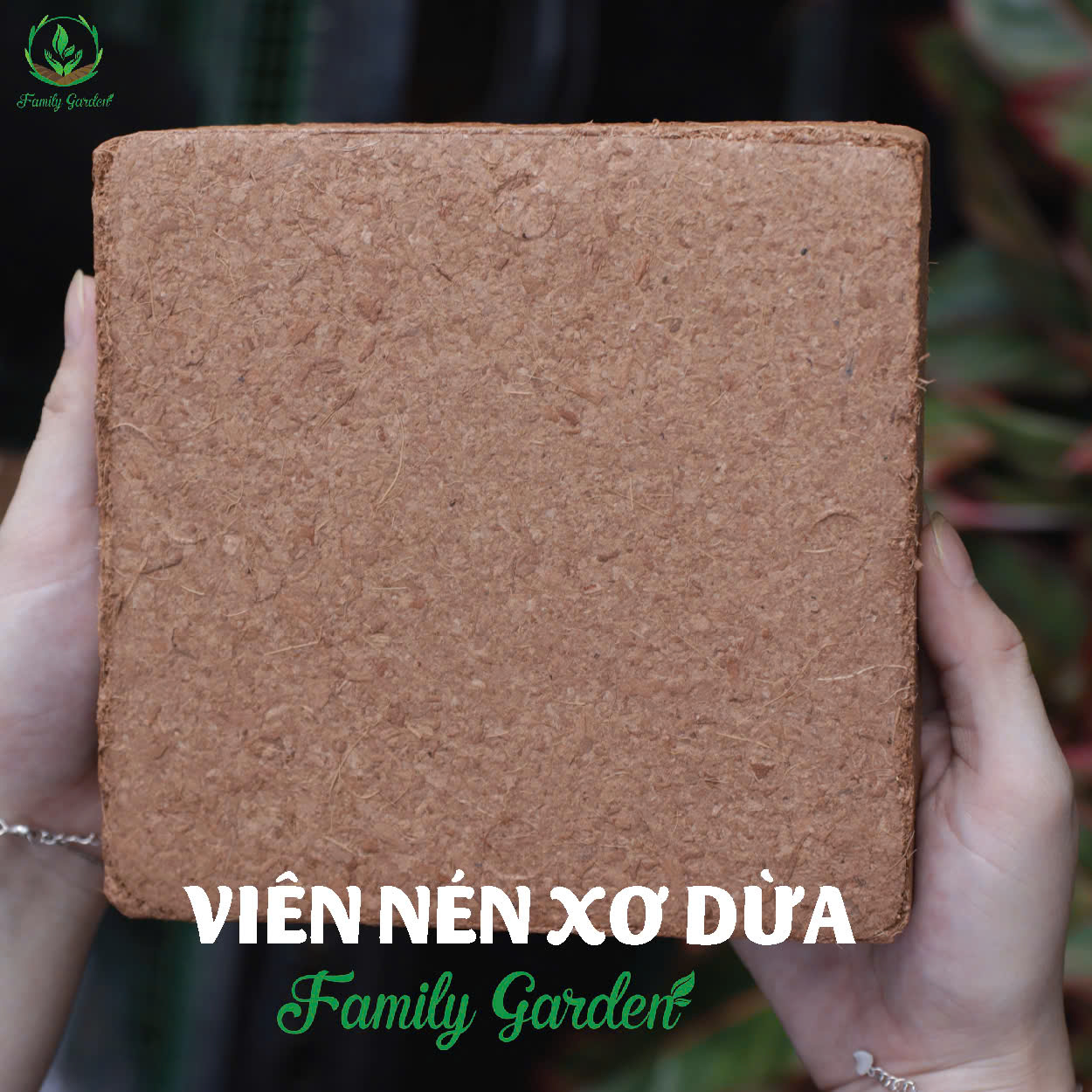xơ mụn dừa family garden